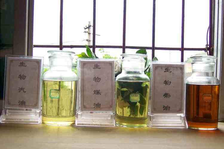 生物柴油技術(shù)